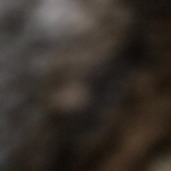 Meet your Posher, Alexander - Picture 1 of 1